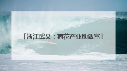 浙江武义：荷花产业助致富