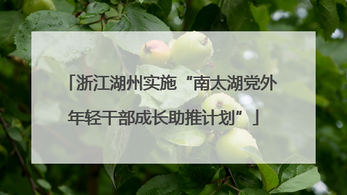 浙江湖州实施“南太湖党外年轻干部成长助推计划”