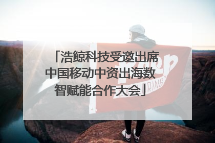 浩鲸科技受邀出席中国移动中资出海数智赋能合作大会