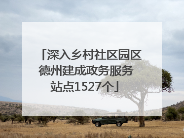 深入乡村社区园区 德州建成政务服务站点1527个