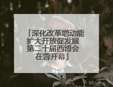 深化改革增动能 扩大开放促发展 第二十届西博会在蓉开幕
