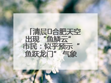 清晨﻿合肥天空出现“鱼鳞云” 市民：似乎预示“鱼跃龙门” 气象专家科普