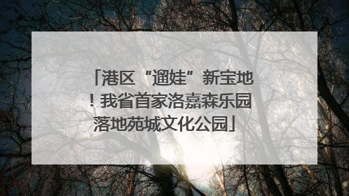 港区“遛娃”新宝地！我省首家洛嘉森乐园落地苑城文化公园