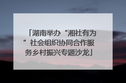 湖南举办“湘社有为”社会组织协同合作服务乡村振兴专题沙龙