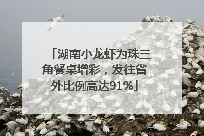 湖南小龙虾为珠三角餐桌增彩，发往省外比例高达91%