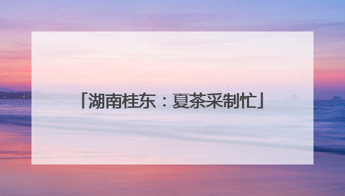 湖南桂东：夏茶采制忙