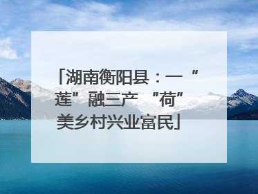 湖南衡阳县：一“莲”融三产 “荷”美乡村兴业富民