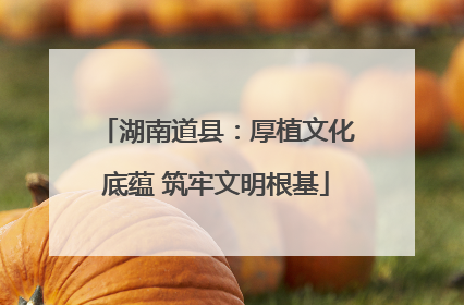 湖南道县：厚植文化底蕴 筑牢文明根基
