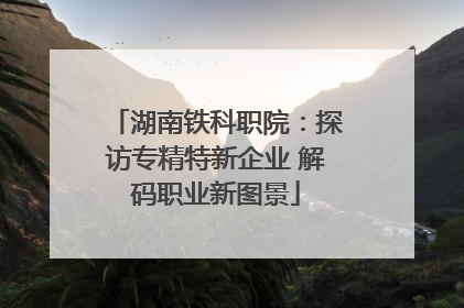 湖南铁科职院：探访专精特新企业 解码职业新图景
