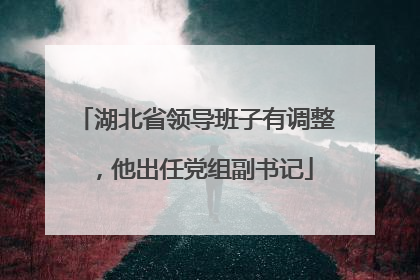 湖北省领导班子有调整，他出任党组副书记