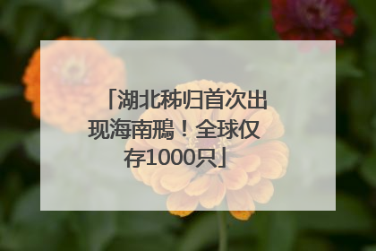 湖北秭归首次出现海南鳽！全球仅存1000只