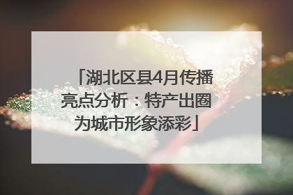 湖北区县4月传播亮点分析：特产出圈为城市形象添彩