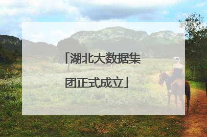 湖北大数据集团正式成立