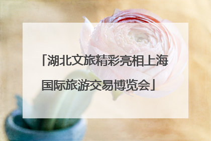 湖北文旅精彩亮相上海国际旅游交易博览会