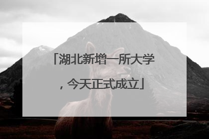 湖北新增一所大学，今天正式成立