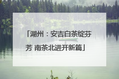 湖州：安吉白茶绽芬芳 南茶北进开新篇