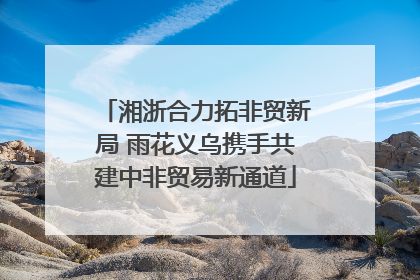 湘浙合力拓非贸新局 雨花义乌携手共建中非贸易新通道