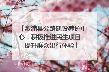 溆浦县公路建设养护中心：积极推进民生项目 提升群众出行体验