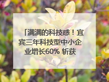 满满的科技感！宜宾三年科技型中小企业增长60% 斩获部省科技奖6项｜您牵挂的四川