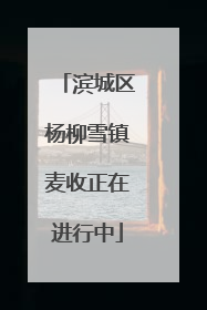滨城区杨柳雪镇麦收正在进行中