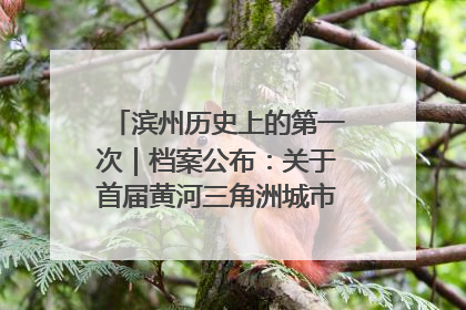 滨州历史上的第一次｜档案公布：关于首届黄河三角洲城市经济博览会暨发展论坛情况的总结报告