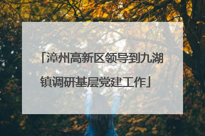 漳州高新区领导到九湖镇调研基层党建工作