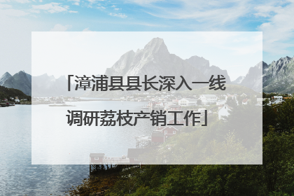漳浦县县长深入一线调研荔枝产销工作