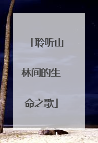 聆听山林间的生命之歌