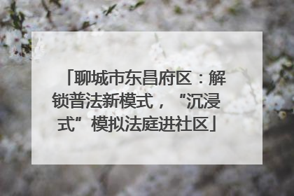 聊城市东昌府区：解锁普法新模式，“沉浸式”模拟法庭进社区