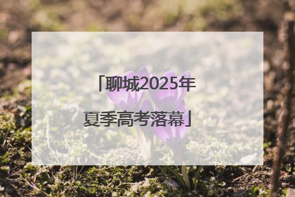 聊城2025年夏季高考落幕