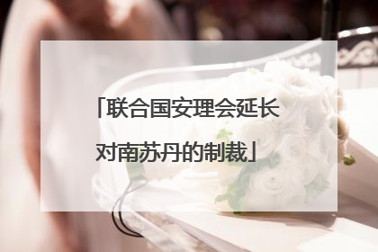 联合国安理会延长对南苏丹的制裁