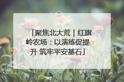 聚焦北大荒｜红旗岭农场：以演练促提升 筑牢平安基石