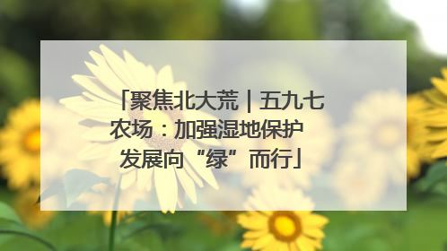 聚焦北大荒｜五九七农场：加强湿地保护 发展向“绿”而行