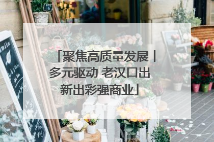 聚焦高质量发展丨多元驱动 老汉口出新出彩强商业