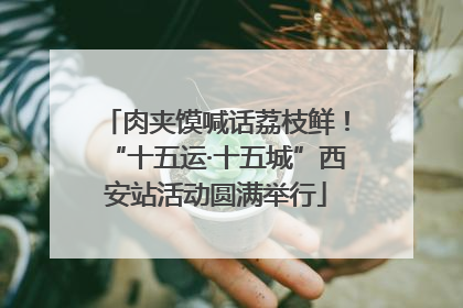 肉夹馍喊话荔枝鲜！“十五运·十五城”西安站活动圆满举行