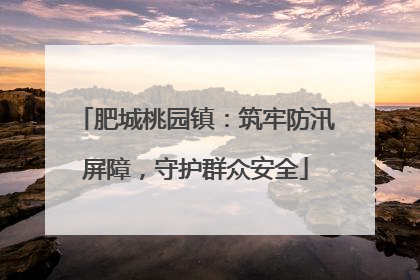 肥城桃园镇：筑牢防汛屏障，守护群众安全