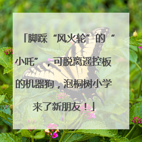 脚踩“风火轮”的“小吒”，可脱离遥控板的机器狗，泡桐树小学来了新朋友！