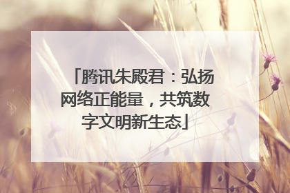 腾讯朱殿君：弘扬网络正能量，共筑数字文明新生态
