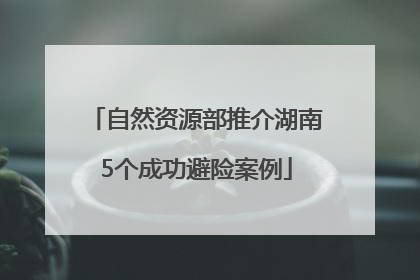 自然资源部推介湖南5个成功避险案例
