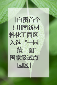 自贡首个！川南新材料化工园区入选“一园一策一图”国家级试点园区