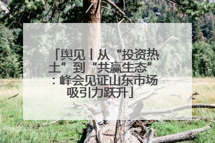 舆见丨从“投资热土”到“共赢生态”：峰会见证山东市场吸引力跃升
