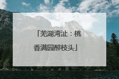 芜湖湾沚：桃香满园醉枝头