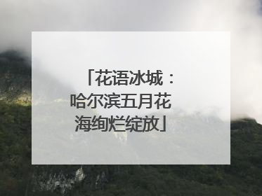 花语冰城：哈尔滨五月花海绚烂绽放
