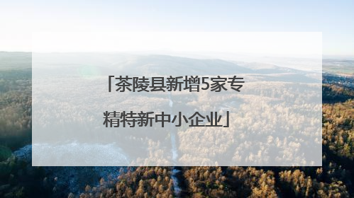 茶陵县新增5家专精特新中小企业