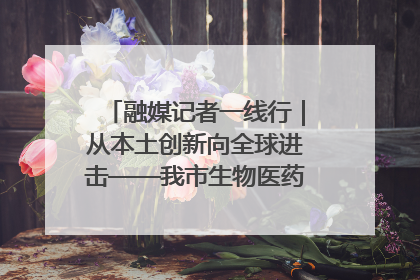 融媒记者一线行｜从本土创新向全球进击——我市生物医药产业破茧突围