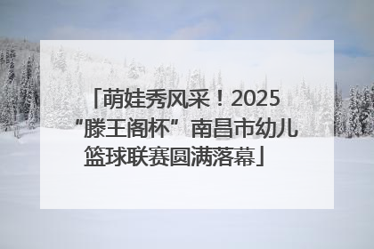 萌娃秀风采！2025“滕王阁杯”南昌市幼儿篮球联赛圆满落幕