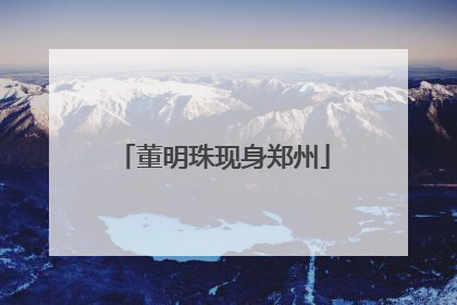 董明珠现身郑州