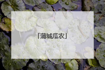 蒲城瓜农