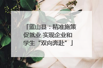 蓝山县：精准施策促就业 实现企业和学生“双向奔赴”