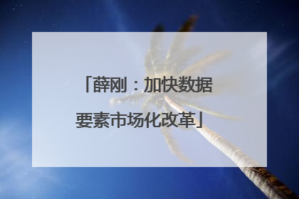 薛刚：加快数据要素市场化改革